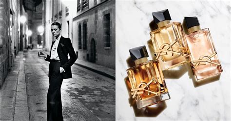 ysl gi|lịch sử ysl.